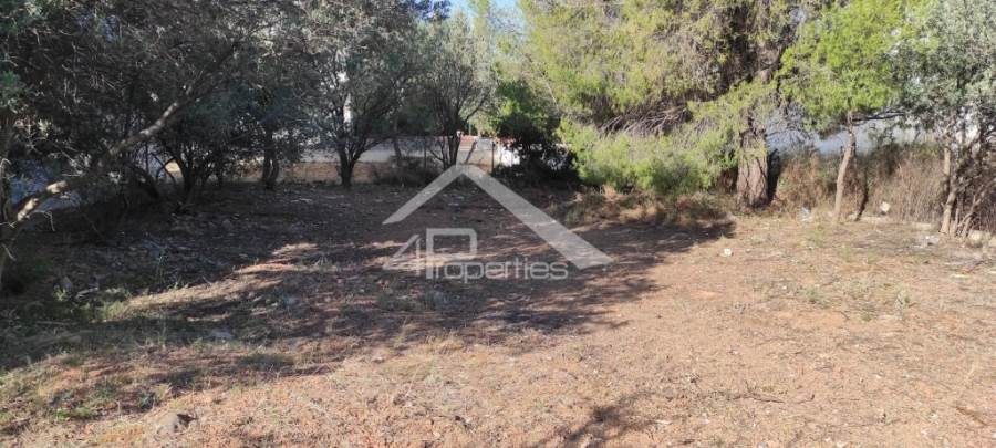 (For Sale) Land Plot || Athens North/Chalandri - 325 Sq.m, 260.000€ 